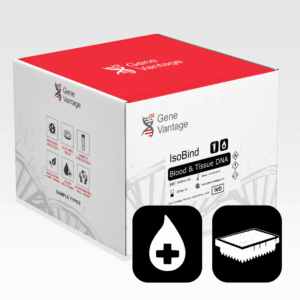 IsoBind Maxi Blood & Tissue DNA Kit (IVD) 384x