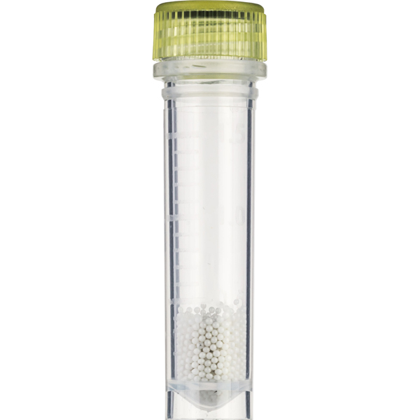 SpeciPrep Bead Beating Tube, 2 ml, Self Standing, Detachable Screw Cap Lid