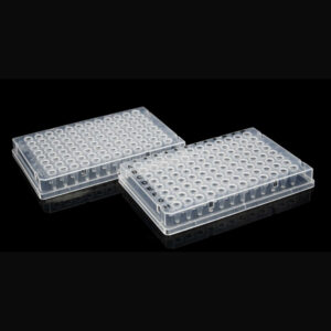 96 Well PCR plate, 0.2 mL, Full skirt, clear